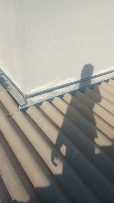 Rufo de encosto em canto – Baratelo Calhas, Caldas Novas